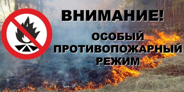 img-19.03.24_14-14-26.png